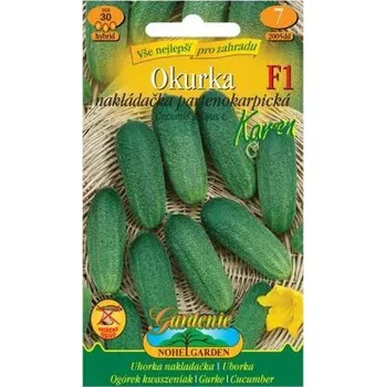 Semeno Nohelgarden Okurka nakládačka partenokarpická KAREN F1 - hybrid