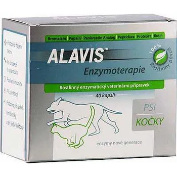 ALAVIS CURENZYM ENZYMOTERAPIE 40 kapslí