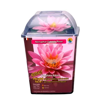 Stoffels International Nymphaea Natura Fabiola leknín růžový 1 ks