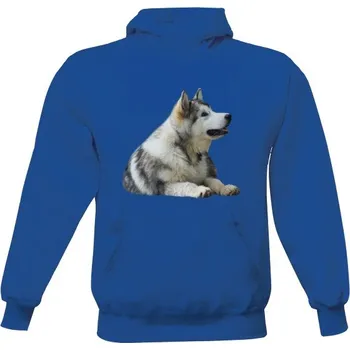 Pánská mikina Pánská mikina s kapucí s potiskem Aljašský malamut pánské