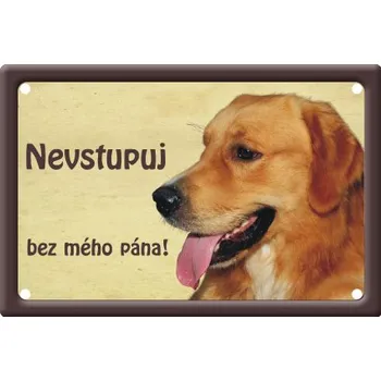 Plechová cedule Smal Výstražná tabulka: Zlatý retrívr II