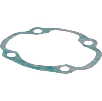 Těsnění pro motocykl Těsnění pod válec Polini Big Evolution 0,20mm, Minarelli horizontal LC 254.0135