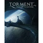 Torment Tides of Numenera PC – digitální verze - Hraj již za pár minut