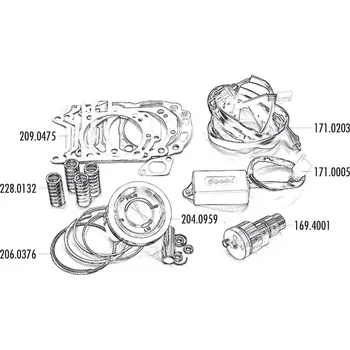 Válec motoru Sada pístních kroužků Polini 300ccm 75mm, Piaggio 300ie 4T LC Quasar 206.0376