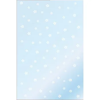 Dárková taška Sáček průhledný s kytičkami 16,5x25 cm 13550