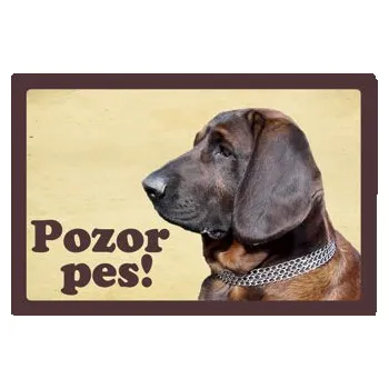 Plechová cedule Smal Výstražná cedule: Hannoverský barvář I