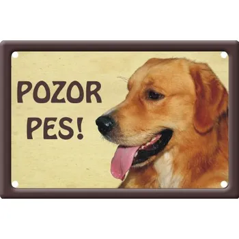 Plechová cedule Smal Výstražná cedule: Zlatý retrívr I