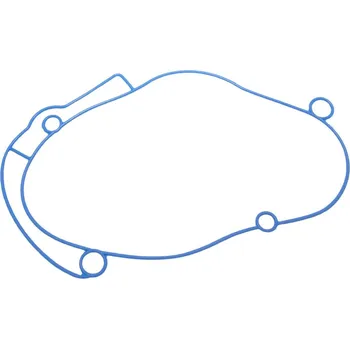 Těsnění pro motocykl Těsnění pro Polini Evolution Gear Box, Piaggio 255.0002