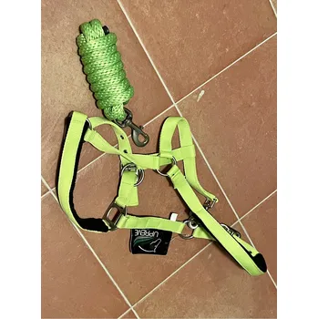 Supreme Vyměkčená nylonová ohlávka s vodítkem Barva: Limetková, Velikost: Pony
