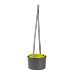 Plastia Berberis 30 cm šedý/zelený