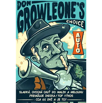 Pěstitelství DON GROWLEONE’S CHOICE Autoflower (Samonakvétací, feminizovaná semena DON GROWLEONE’S CHOICE Autoflower)