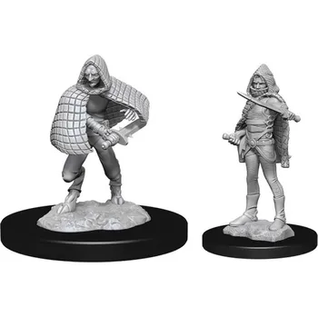 Desková hra WizKids D&D Nolzur's Marvelous Miniatures - Darkling Elder & Darklings