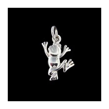 Přívěsek Stříbrný přívěsek