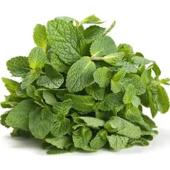 Silice máty kadeřavé množství: 10 ml