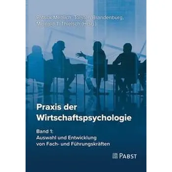 Praxis der Wirtschaftspsychologie - Mehlich, Patrick