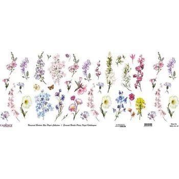 Umělecký papír Rýžový papír Cadence v roli 30 x 68 cm - Herbář -