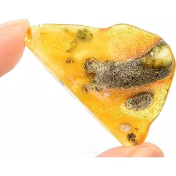 Přírodní kámen Jantar pro sběratele (5,2g)