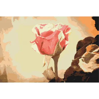 Malování podle čísel - Vintage Růže 3 Velikost: 40x60cm, Rámování: Pouze srolované plátno