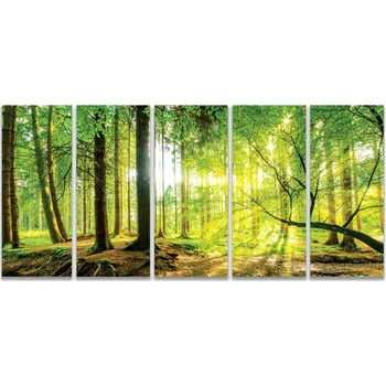 Obraz Malvis ® Obraz slunce v lese Velikost (šířka x výška): pětidílný obdélník - 100x45 cm