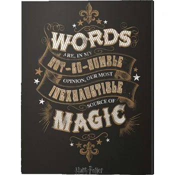 Obraz Obraz na plátně Harry Potter - Words