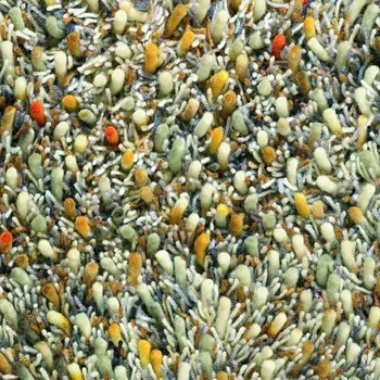 Vopi Moderní vlněný kusový koberec B&C Spring calendula 59103 Brink & Campman (Varianta: 170 x 240)