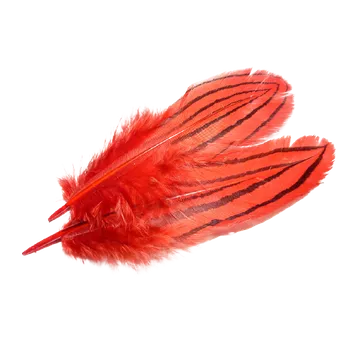 PEŘÍ STŘÍBRNÉHO BAŽANTA - červené