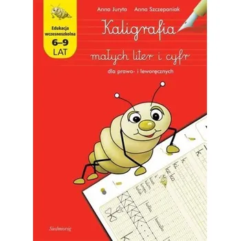 Bystrá hlava Kaligrafia małych liter i cyfr dla prawo... - Anna Juryta, Anna Szczepaniak