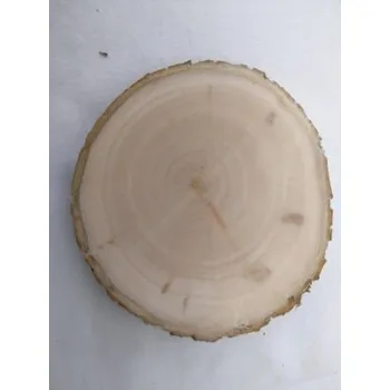 Pojezdové kolečko Kolečko Vrba