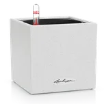 Lechuza Canto Stone Square 14 cm