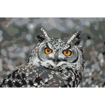Malování podle čísel - Sova 3 Velikost: 40x60cm, Rámování: Pouze srolované plátno