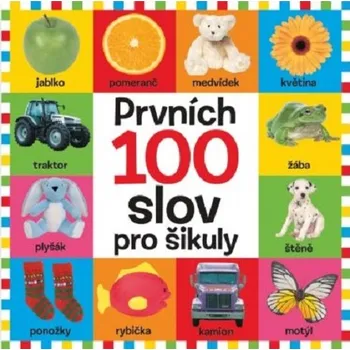 Prvních 100 slov pro šikuly - Svojtka & Co. (2021)