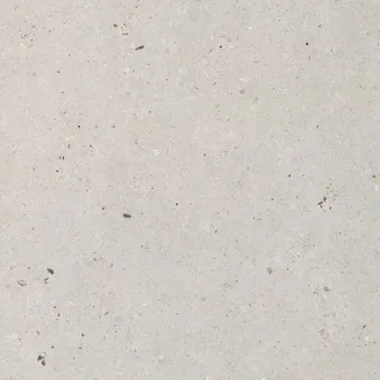 Stavební materiál EBS Silver Grain dlažba 60x60 silver grey naturale