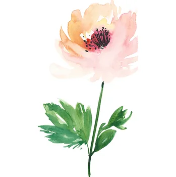 Odstranitelné tetování Pivoňka - vodovkové nalepovací tetování