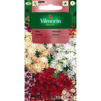 Semeno Plaménka hvězdicovitá (směs)