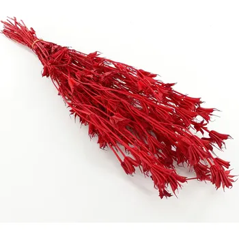 Zahradní dekorace Sušina Sorgo x5pc bianco