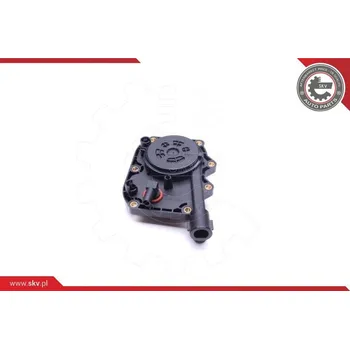 Reparatursatz, Kurbelgehäuseentlüftung ESEN SKV 31SKV103