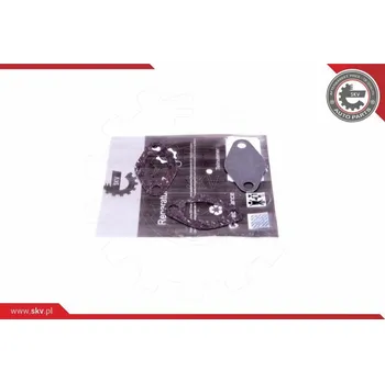 Sada na opravu, ventil AGR ESEN SKV 14SKV548