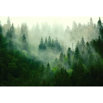 Fototapeta Vliesové fototapety opar nad lesem 14210V8