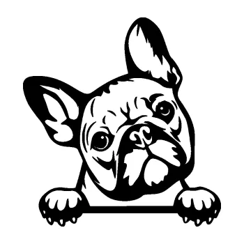 Polep vozidla Pes 184 pravá francouzský buldoček (01 - černá) SAMOLEPKA NA AUTO, NÁLEPKA, FÓLIE, POLEP, TUNING, VLASTNÍ TEXT, TISK, AUTOSAMOLEPKY.cz, POLEPY, OBRÁZEK, LOGO, 3D STICKERS