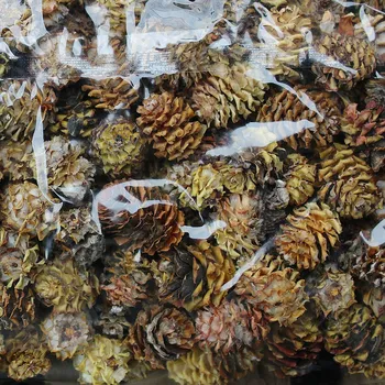 Zahradní dekorace SALIGNUM LOOSE NATURAL POLY BAG 2ND GRADE (1KG)