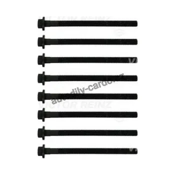 Těsnění motoru Sada šroubů pro hlavy válcu VICTOR REINZ (VR 14-10373-02)