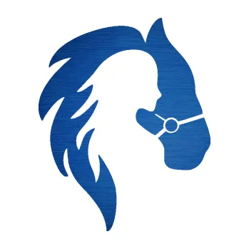 Samolepící dekorace SAMOLEPKA Kůň 101 pravá s láskou (65 - škrábaný kov modrý) NA AUTO, NÁLEPKA, FÓLIE, POLEP, TUNING, VLASTNÍ TEXT, TISK, AUTOSAMOLEPKY.cz, POLEPY, OBRÁZEK, LOGO, SAMOLEPKY