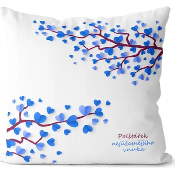 Dekorativní polštářek Polštář 40 x 40 cm - Polštářek nejúžasnějšího vnuka