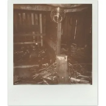 Poezie Fotopast - Vojtěch Beránek