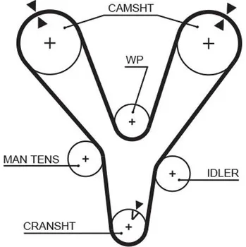 Autodíl ozubený řemen GATES 5555XS