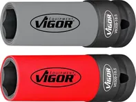 Vigor V6309