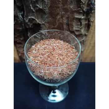 Len semeno - Bylinky (Lini semen)