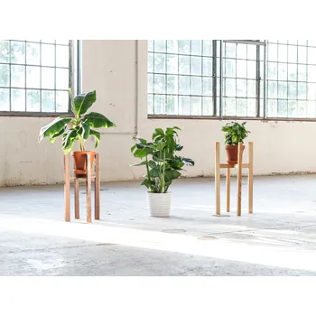 Gardners Pronájem rostlin Průměr květináče: 6-11 cm, Počet dní pronájmu: 1-2