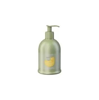 Alter Ego Ego Line Silk Oil Conditioner - Kondicionér s hedvábným efektem 300 ml