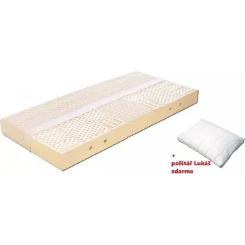 Matrace Dřevočal Lada 80x200 cm AloeVera Doprava ZDARMA.